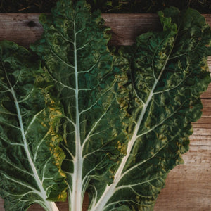heirloom-nutrient-rich-swiss-chard-for-cooking

