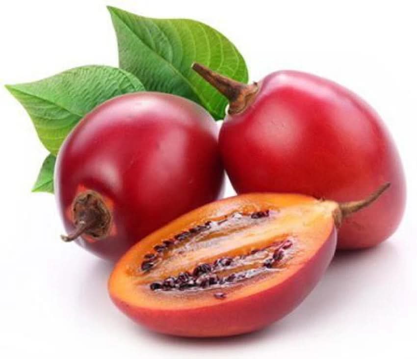 Red tamarillo tomato tree fruit seeds