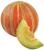 Orange Musk Melon Cucumis melo seeds for planting in home garden