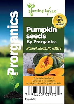 Green Pumpkin Heirloom Non Gmo Image