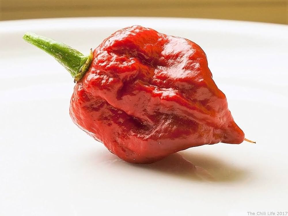 Reapion Reaper x Scorpion Hybrid Hot Pepper Seeds – Heirloom, Non-GMO, High Germination Organic Garden Seeds