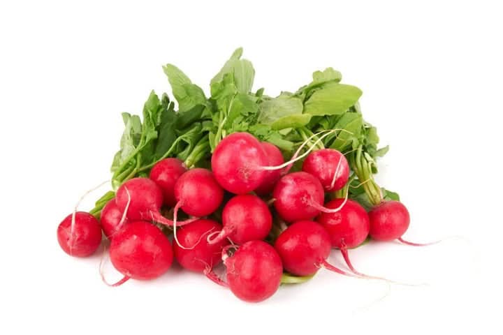 Radish Red Vegetable Seed for Planting Mixed heirloom & Non-GMO Seeds