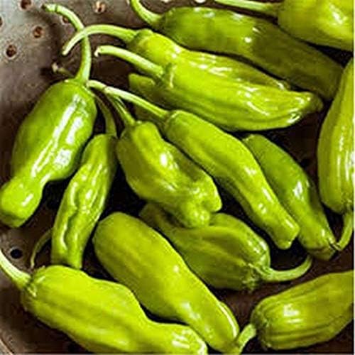 close-up of thin-walled, curved golden pepperoncini peppers

