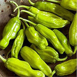 close-up of thin-walled, curved golden pepperoncini peppers

