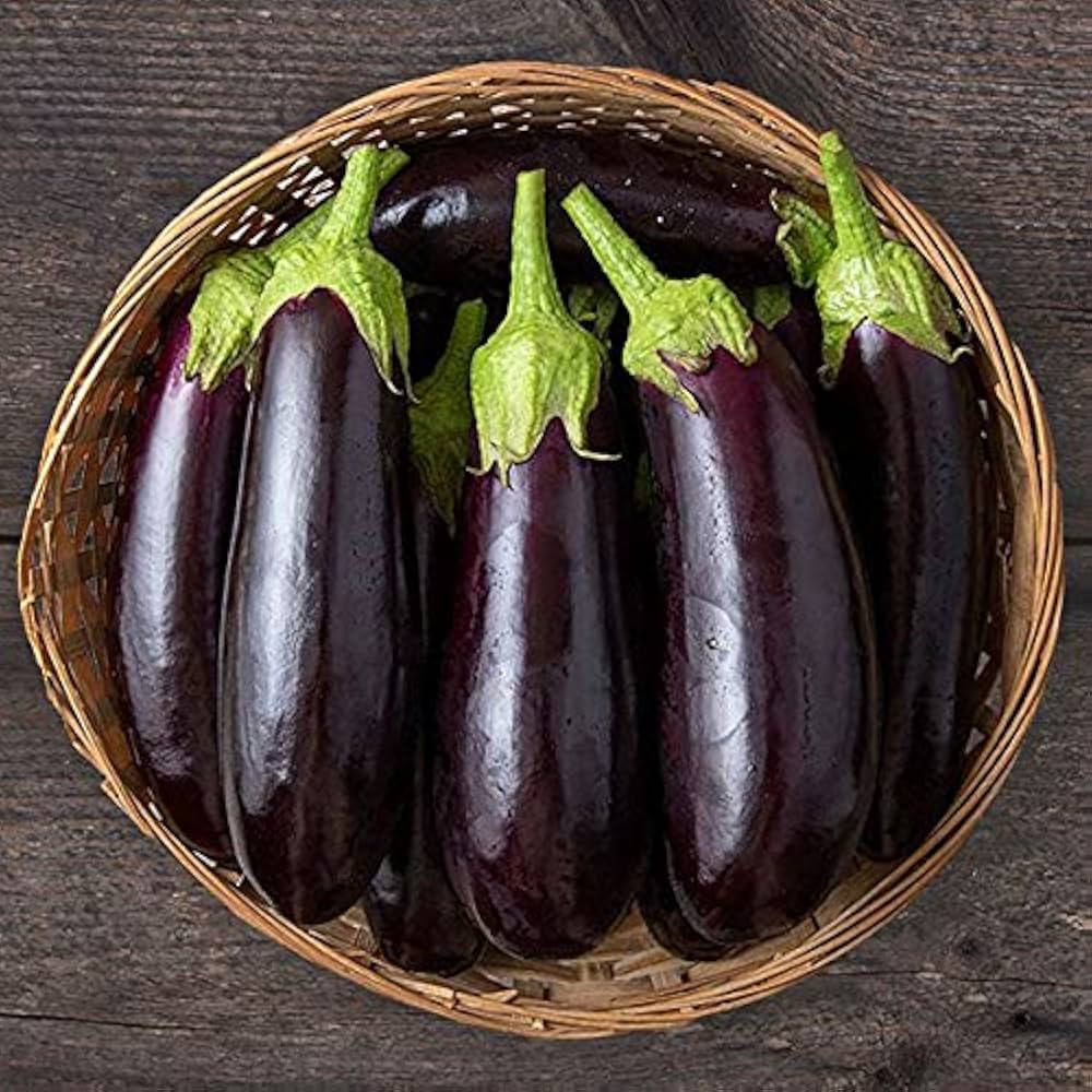 Diamond Eggplant Solanum Melongena Seeds for planting in vegetable patch