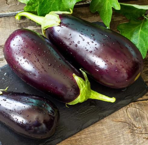 Purple Eggplant - Heirloom, Non - Gmo Seeds