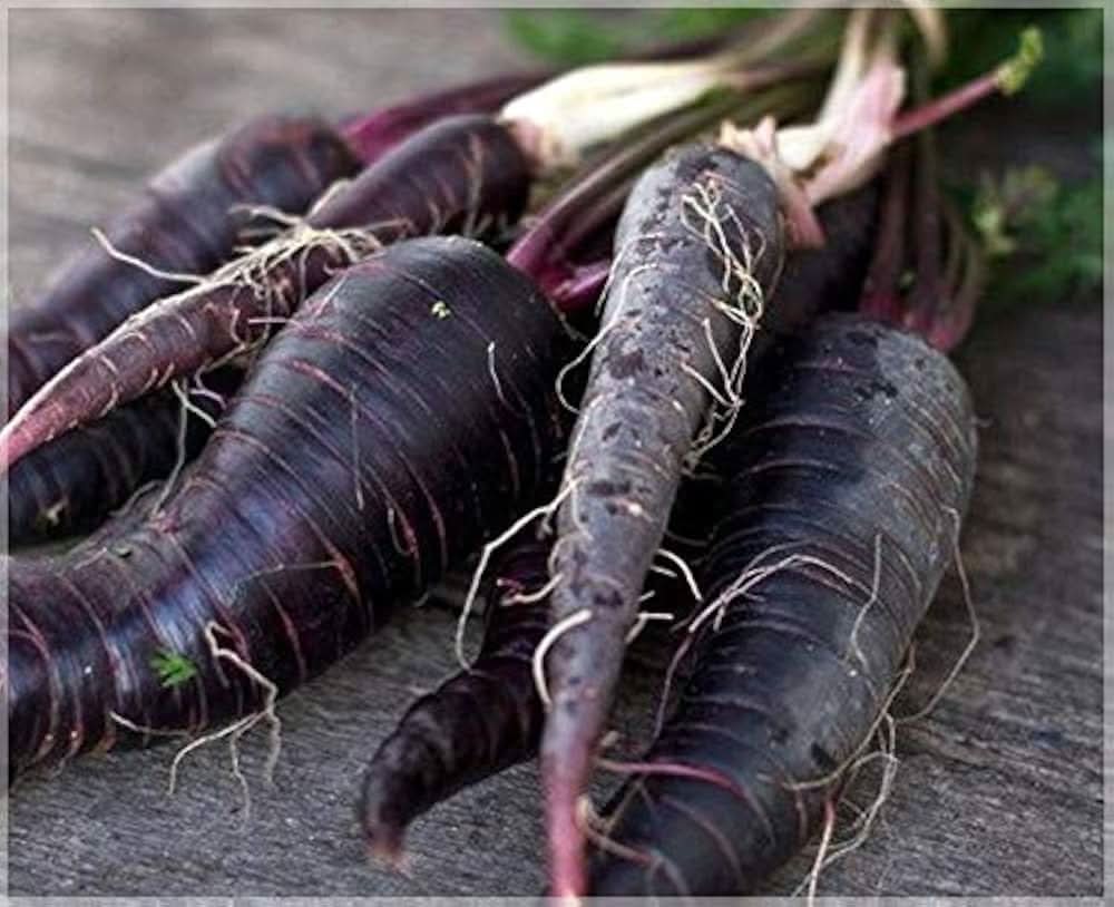 Blue Carrot and Yellow Radish Seeds