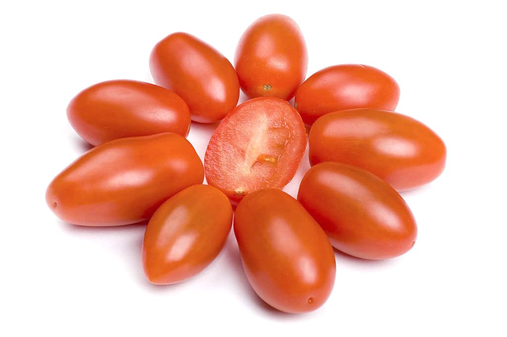 Blue Beauty Tomato Seeds Solanum lycopersicum for Planting in Home Garden