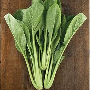 Komatsuna Brassica rapa seeds for home garden planting
