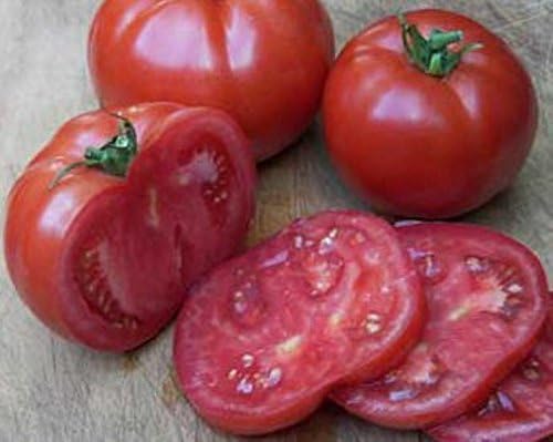 Early Wonder Organic Beef Tomato Seeds Seeds