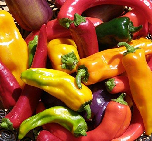 Our Best Pepper Collection – Heirloom, Non-GMO, High Germination Organic Garden Seeds