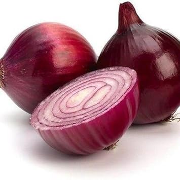 Red Onion Heirloom Non Gmo Image