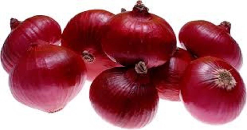 F Red Marble Onion Hybrid Seeds pcs for Planting