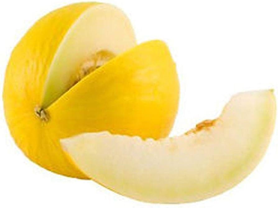 Heirloom Asian Rare Mela Melone Seeds - Seeds for Sweet Melon Varieties