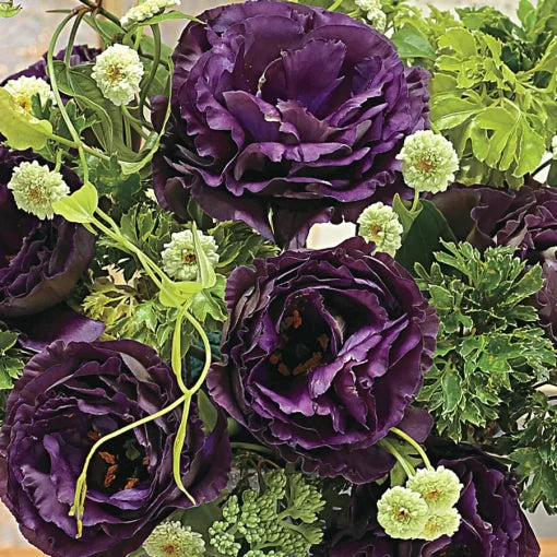 Black Pearl Lisianthus Seeds Dark Purple Double Lisianthus for Bouquets High Germination Garden Seeds heirloom non-gmo seeds