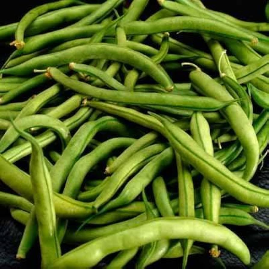 Green Bean Phaseolus vulgaris Seeds for Planting in Vegetable Garden