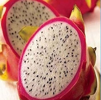 Pink Dragon Fruit Heirloom Non Gmo Image