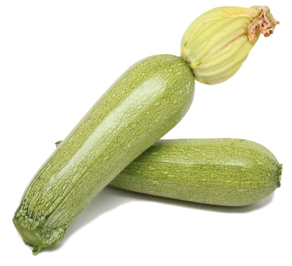 Squash Seeds (Light Green) – Fresh Vegetable Seeds for Planting Hearty Harvest
