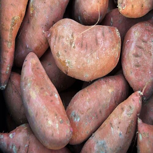 Brown Sweet Potato - Heirloom, Non - Gmo Seeds