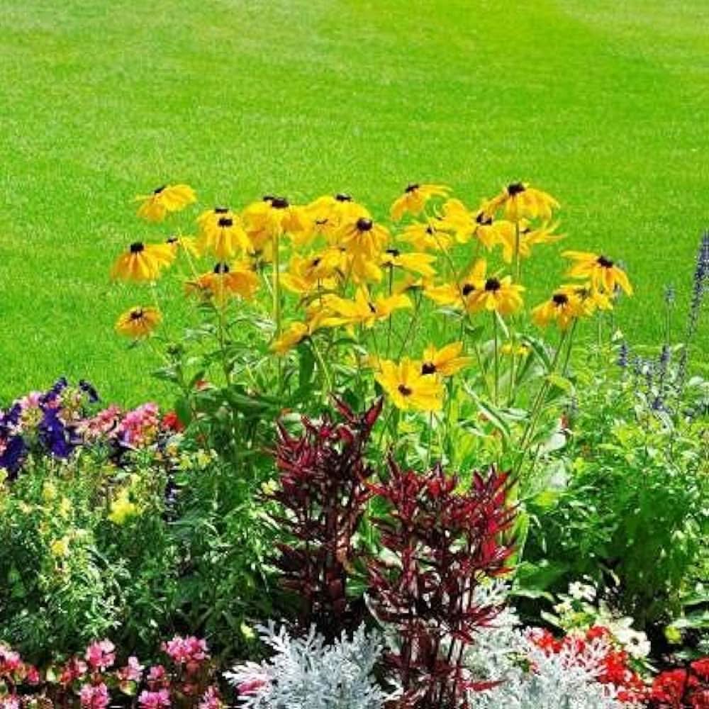 Case Native Wildflower Diverse Bloom Mix Seeds