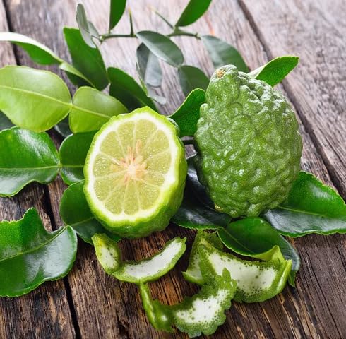 Green Kaffir Lime Fruit - Heirloom, Non - Gmo Seeds