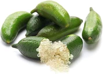 Lime Fruit Seeds - High Yield for Growing Fresh Limes