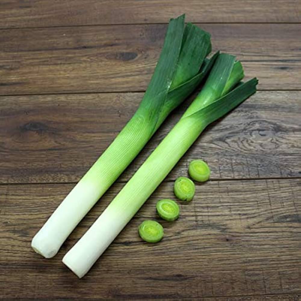 Leek Allium Ampeloprasum King Richard Vegetable Seeds for Planting – Fast-Growing Variety for Backyard Garden and Cooking