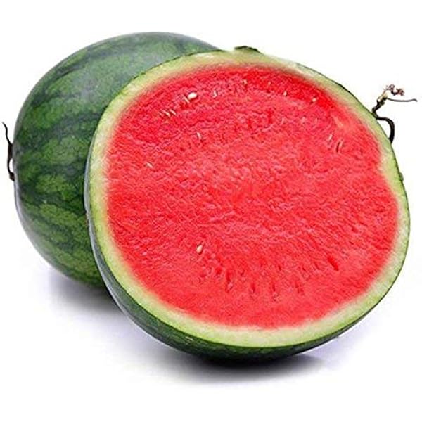 Rare Chinese watermelon seeds for bonsai or home garden