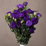 Deep Blue Eustoma (Lisianthus) Flower Seeds for Planting - Heirloom, NON-GMO, Easy to Grow for planting in home garden