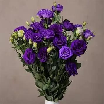 Deep Blue Eustoma (Lisianthus) Flower Seeds for Planting - Heirloom, NON-GMO, Easy to Grow Dhara Seeds