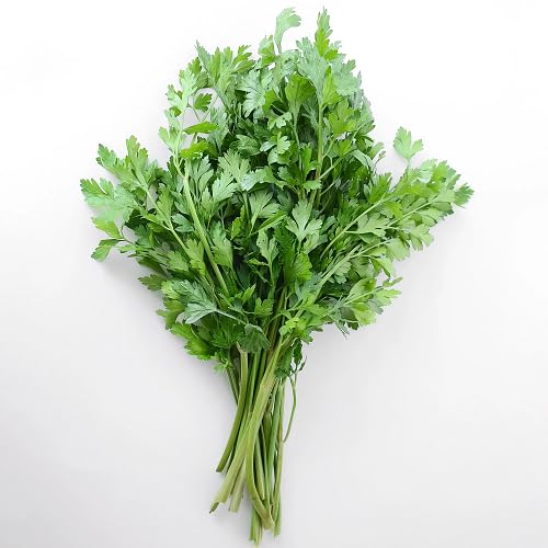 Green Parsley - Heirloom, Non - Gmo Seeds