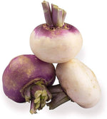 Prague Decine Brassica Rapa Seeds