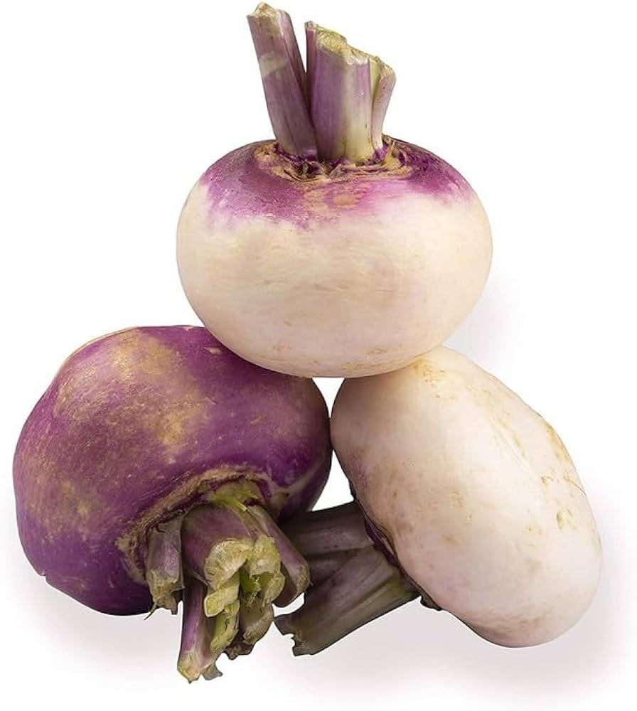Prague Decine Brassica Rapa Seeds