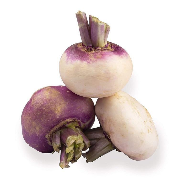 Turnip Brassica Rapa Seven Top Vegetable Seeds for Planting – Leafy Vegetable Seeds for Kitchen Garden and Raised Beds