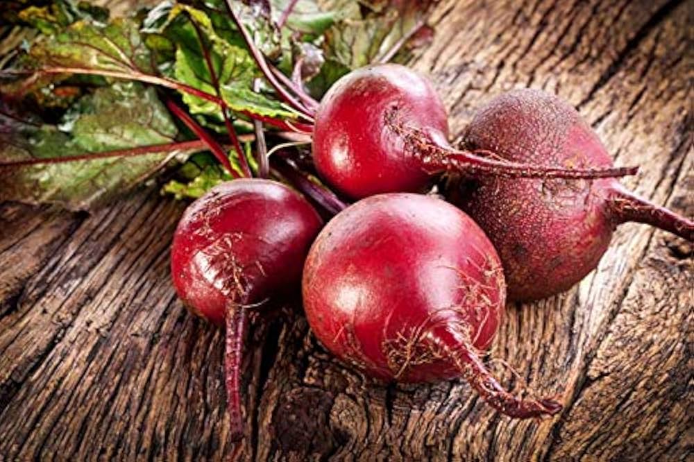 Sugar Beet Beta vulgaris Plant Seeds for Planting
