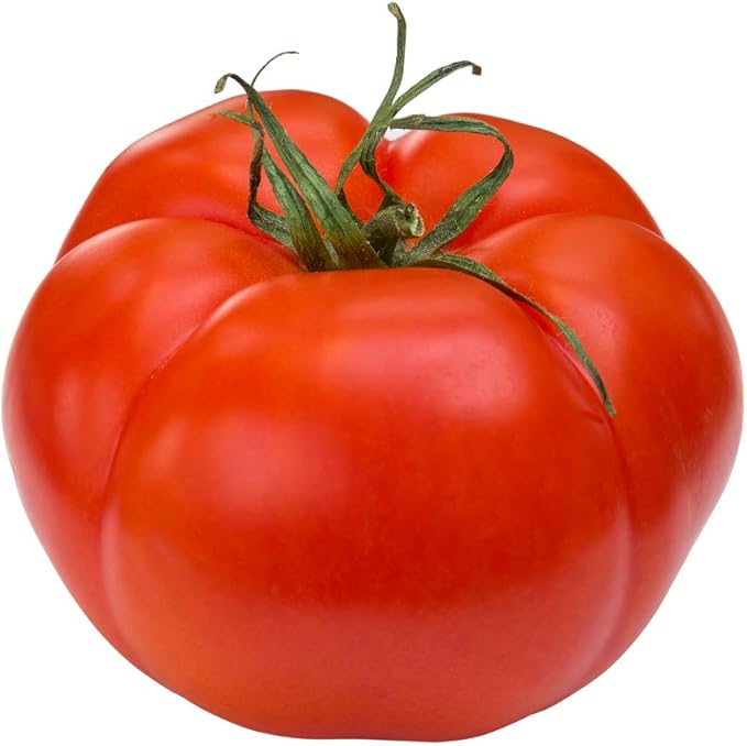 Tomato Vegetable Solanum lycopersicum Seeds for Planting for Vegetable Patch and Home Garden