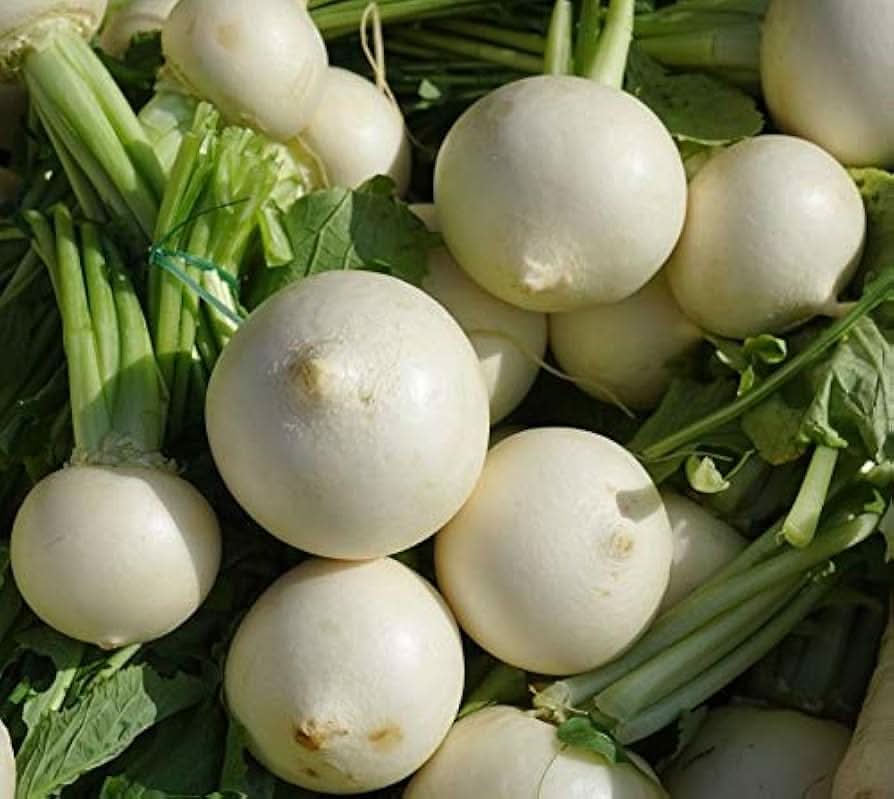 White Egg Turnip Brassica rapa vegetable seeds for planting in kitchen garden beds