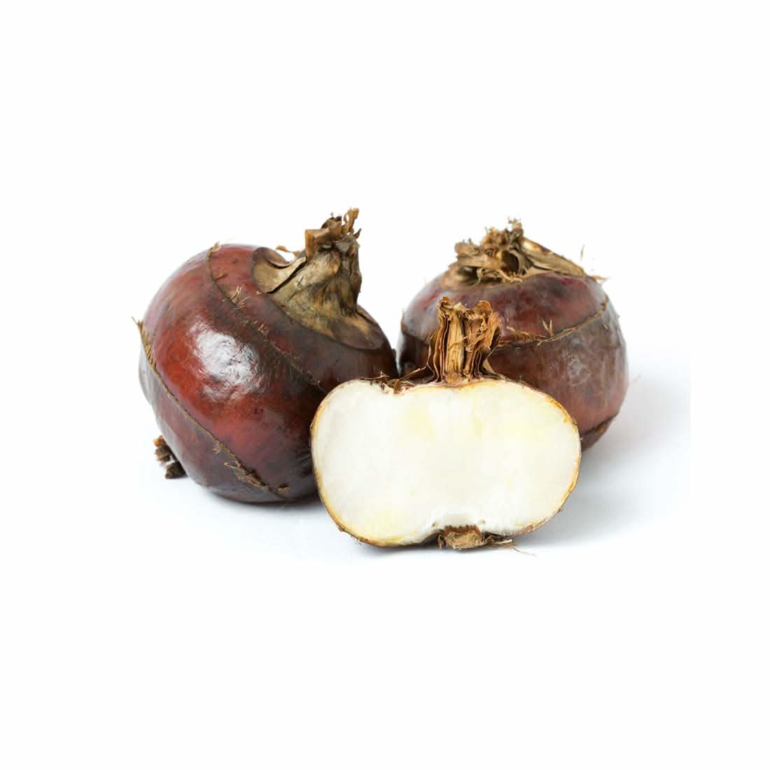 Water Chestnut Eleocharis Dulcis vegetable seeds for planting in wetland home garden containers and ponds