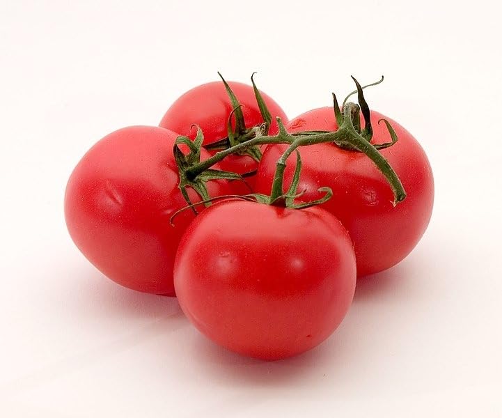 Tomato Solanum Lycopersicum ATOL Hungarian Vegetable Seeds for Planting – Great for Kitchen Garden and Heirloom Variety