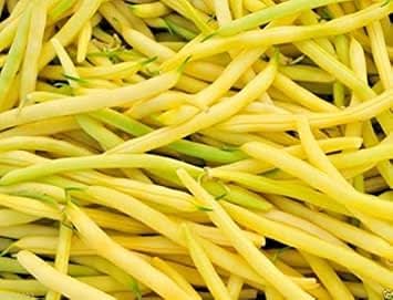 Yellow Bean Phaseolus vulgaris seeds for garden planting