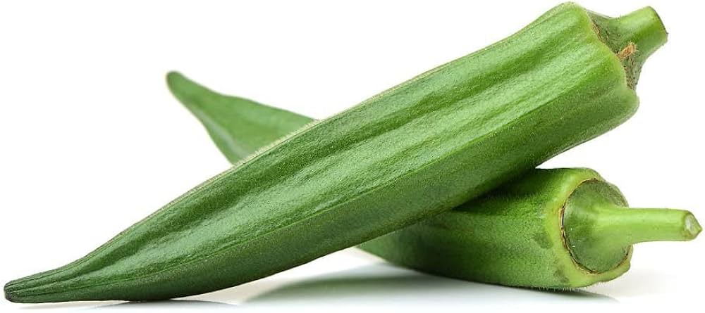 Okra vegetable – Abelmoschus esculentus – for planting in home garden
