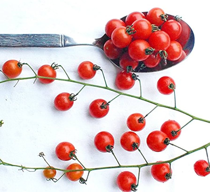 Tiny Spoon Currant Tomato Seeds ( , Heirloom)
