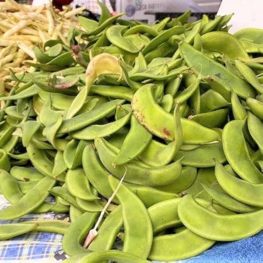 Dixie Butterpea Lima Bean Seeds | Small Tender Butterpeas – Heirloom, Non-GMO, High Germination Organic Garden Seeds