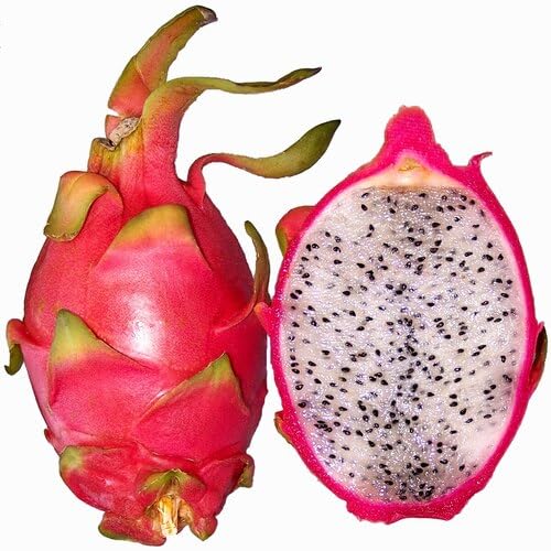 Pink Dragon Fruit