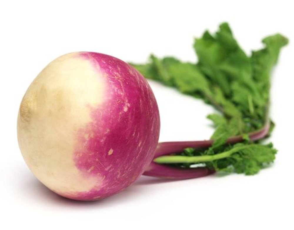 Royal Crown Hybrid Turnip Seeds Heirloom Non-GMO High Germination Organic Garden Seeds