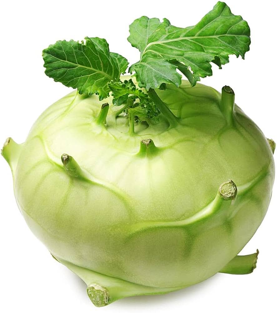 Kohlrabi Delikatesnaya Belaya plant grown from seeds with round, pale bulbs and crisp white flesh