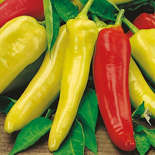 Pepper Capsicum Annuum Hungarian Sweet Wax Vegetable Seeds for Planting – Mild Variety for Kitchen Garden and Pickling