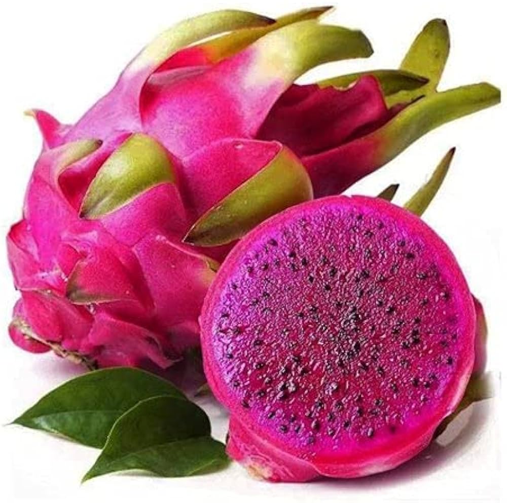 Pitaya Dragon Fruit Hylocereus spp. Seeds for Planting in Vegetable Patch