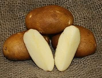 Brown Potatoes Vegetable Seeds for Planting heirloom & Non-GMO Seeds