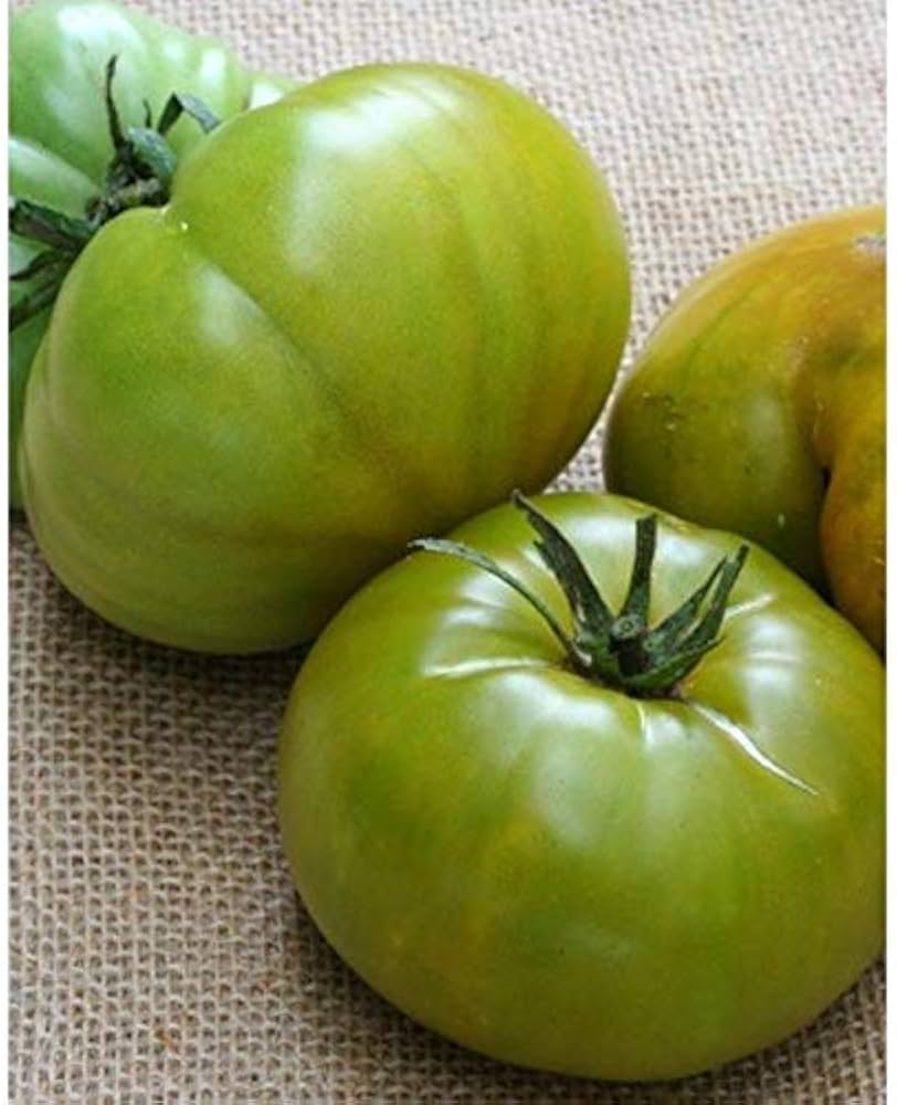 Tomato Solanum Lycopersicum Pork Chop Vegetable Seeds for Planting – Ideal for Kitchen Garden and Heirloom Harvest